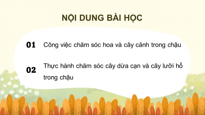 Giáo án điện tử Công nghệ 4 chân trời Bài 5: Chăm sóc hoa, cây cảnh trong chậu