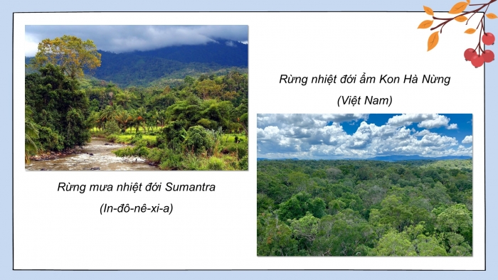Giáo án điện tử Địa lí 11 kết nối Bài 11: Vị trí địa lí, điều kiện tự nhiên, dân cư và xã hội khu vực Đông Nam Á (P2)