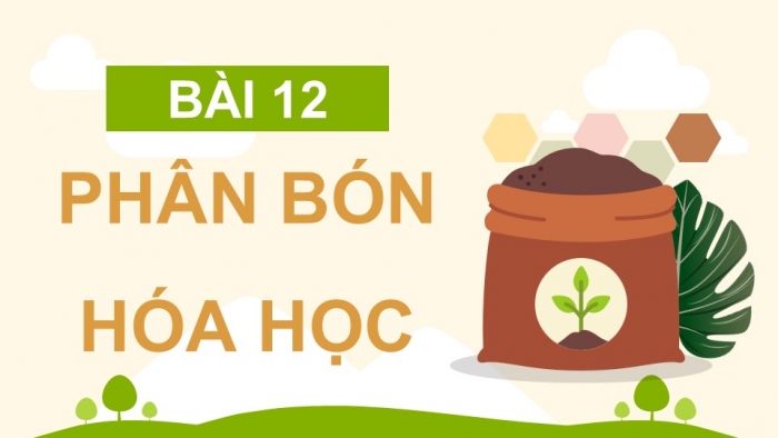 Giáo án điện tử KHTN 8 kết nối Bài 12: Phân bón hoá học