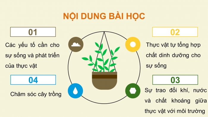 Giáo án điện tử Khoa học 4 cánh diều Bài 13: Nhu cầu sống của thực vật và chăm sóc cây trồng (P1)