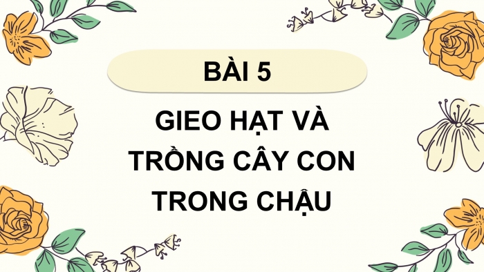 Giáo án điện tử Công nghệ 4 cánh diều Bài 5: Gieo hạt và trồng cây con trong chậu