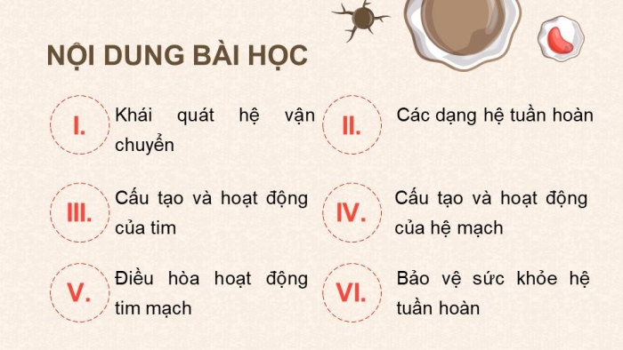 Giáo án điện tử Sinh học 11 chân trời Bài 10: Tuần hoàn ở động vật (P1)