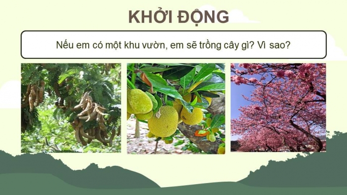 Giáo án điện tử Tiếng Việt 4 kết nối Bài 27: Đọc Nếu em có một khu vườn