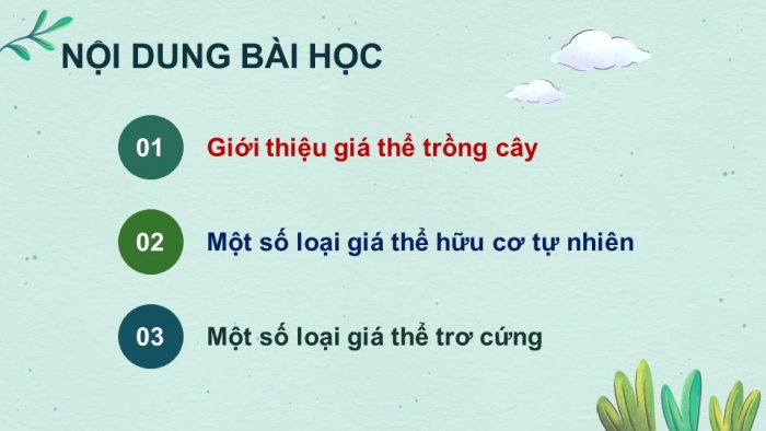 Giáo án điện tử công nghệ 10 – Trồng trọt kết nối bài 5: Giá thể cây trồng