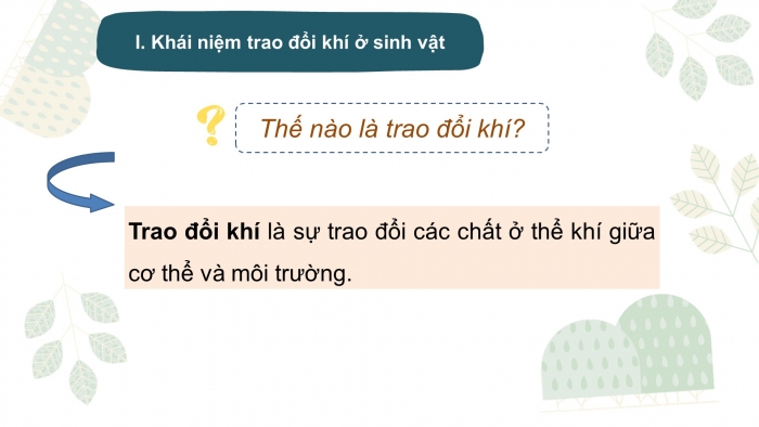 Giáo án điện tử KHTN 7 cánh diều – Phần sinh học  bài 23: Trao đổi khí ở sinh vật