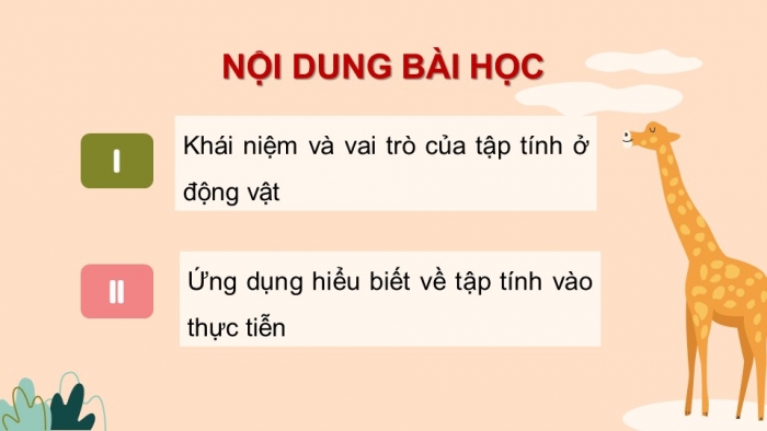 Giáo án điện tử KHTN 7 cánh diều – Phần sinh học bài 28. Tập tính ở động vật