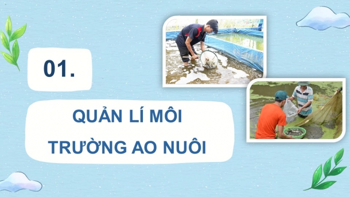  Giáo án điện tử công nghệ 7 cánh diều bài 13: Quản lý ao nuôi và phòng trị bệnh thủy sản