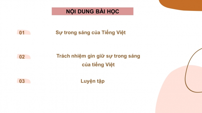 Giáo án điện tử Ngữ văn 12 bài: Giữ gìn sự trong sáng của tiếng Việt