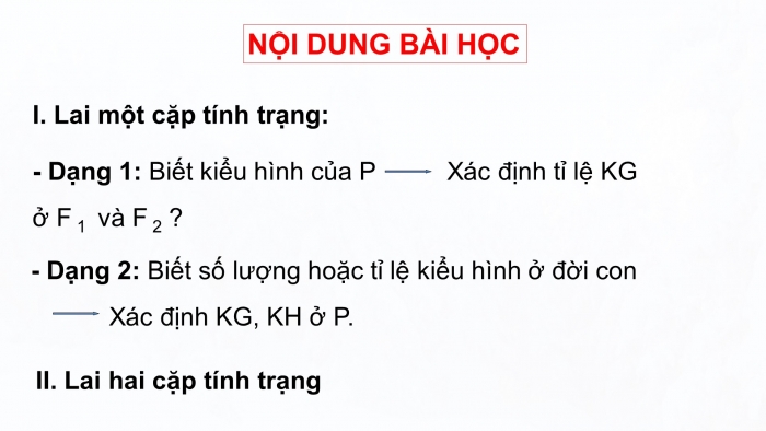 Giáo án điện tử sinh học 9 bài 7: Bài tập chương I