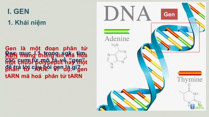 Giáo án điện tử Sinh học 12 bài 1: Gen, mã di truyền và quá trình nhân đôi ADN