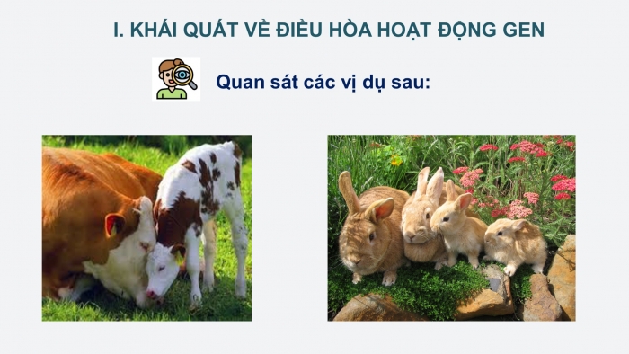 Giáo án điện tử Sinh học 12 bài 3: Điều hoà hoạt động gen