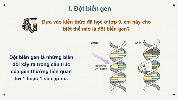 Giáo án điện tử Sinh học 12 bài 4: Đột biến gen