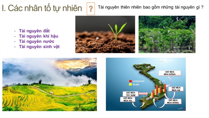 Giáo án điện tử địa lí 9 bài 11: Các nhân tố ảnh hưởng đến sự phát triển và phân bố công nghiệp