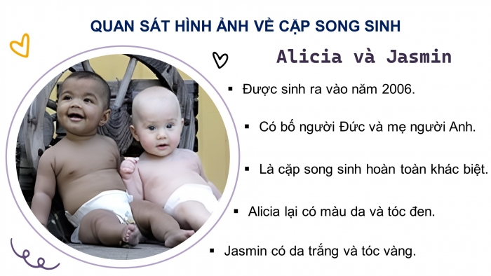 Giáo án điện tử Tiếng Việt 4 kết nối Bài 3 Đọc: Anh em sinh đôi