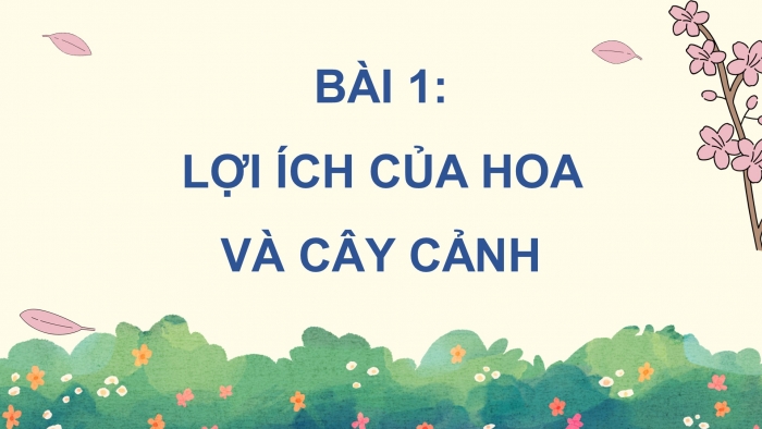 Giáo án điện tử Công nghệ 4 cánh diều Bài 1: Lợi ích của hoa và cây cảnh