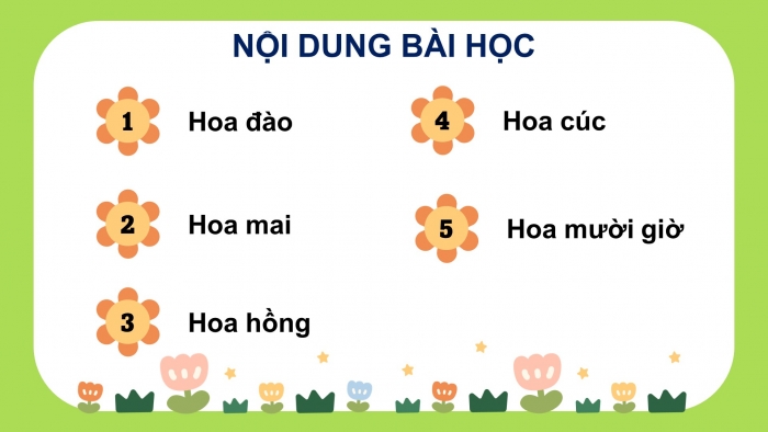 Giáo án điện tử Công nghệ 4 cánh diều Bài 2: Một số loại hoa phổ biến