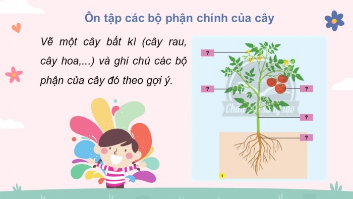 Giáo án điện tử bài 19: Ôn tập chủ đề thực vật và động vật