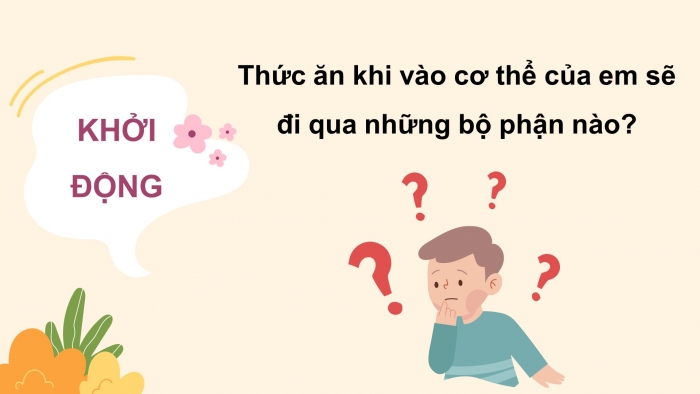 Giáo án điện tử bài 20: Cơ quan tiêu hóa