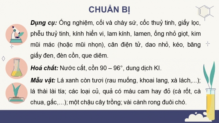 Giáo án điện tử Sinh học 11 chân trời Bài 5: Thực hành: Quan sát lục lạp và tách chiết sắc tố; chứng minh sự hình thành sản phẩm quang hợp