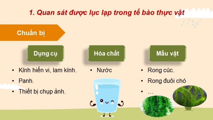 Giáo án điện tử Sinh học 11 cánh diều Bài 4: Quang hợp ở thực vật (P2)