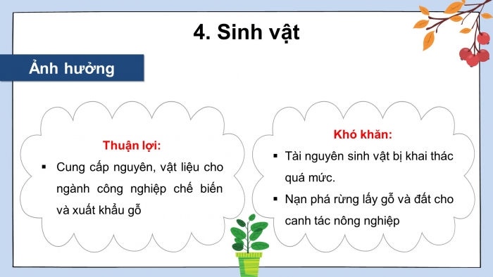 Giáo án điện tử Địa lí 11 kết nối Bài 11: Vị trí địa lí, điều kiện tự nhiên, dân cư và xã hội khu vực Đông Nam Á (P2)