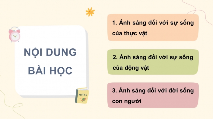 Giáo án điện tử Khoa học 4 kết nối Bài 9: Vai trò của ánh sáng