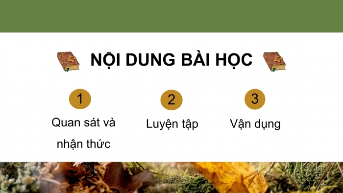 Giáo án điện tử Mĩ thuật 8 chân trời (bản 2) Bài 6: Tạo hình nhân vật minh họa truyện cổ tích