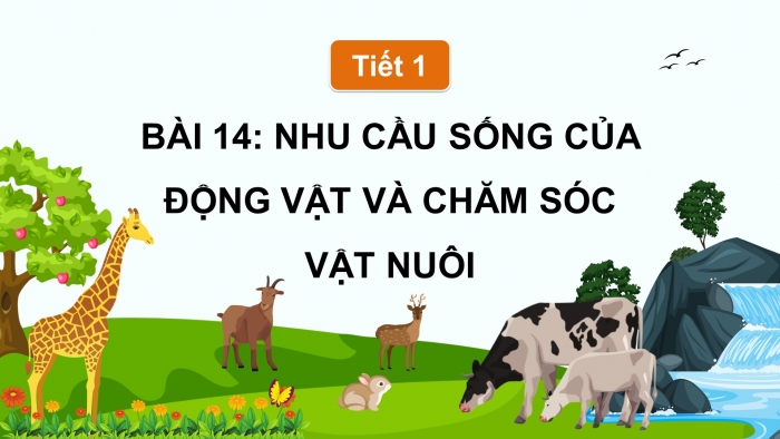 Giáo án điện tử Khoa học 4 cánh diều Bài 14: Nhu cầu sống của động vật và chăm sóc vật nuôi (P1)