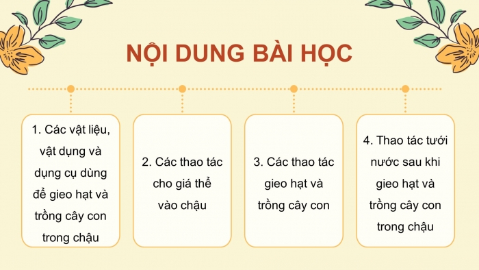 Giáo án điện tử Công nghệ 4 cánh diều Bài 5: Gieo hạt và trồng cây con trong chậu