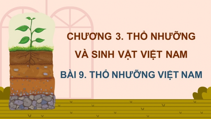 Giáo án điện tử Địa lí 8 kết nối Bài 9: Thổ nhưỡng Việt Nam
