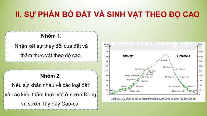 Giáo án điện tử địa lí 10 chân trời bài 16: Thực hành - Phân tích sự phân bố của đất và sinh vật trên trái đất