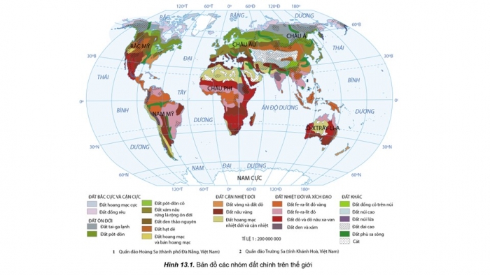 Giáo án điện tử địa lí 10 cánh diều bài 13: Thực hành - Phân tích bản đồ, sơ đồ về phân bố của đất và sinh vật trên thế giới