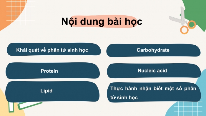 Giáo án điện tử sinh học 10 cánh diều bài 6: Các phân tử sinh học trong tế bào.