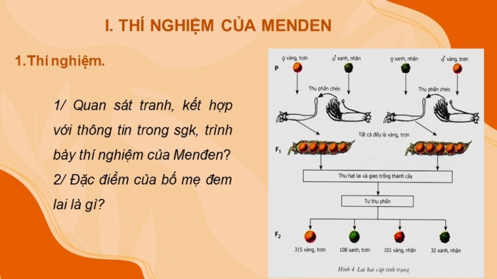 Giáo án điện tử sinh học 9 bài 4: Lai hai cặp tính trạng