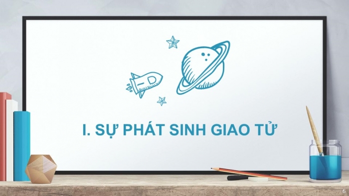 Giáo án điện tử sinh học 9 bài 11: Phát sinh giao tử và thụ tinh