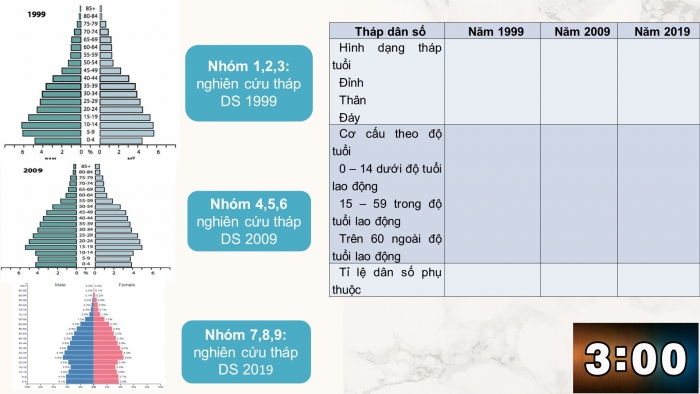 Giáo án điện tử địa lí 9 bài 5: Thực hành - Phân tích và so sánh tháp dân số năm 1999, 2009, 2019