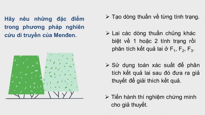 Giáo án điện tử Sinh học 12 bài 8: Quy luật Menđen: Quy luật phân li