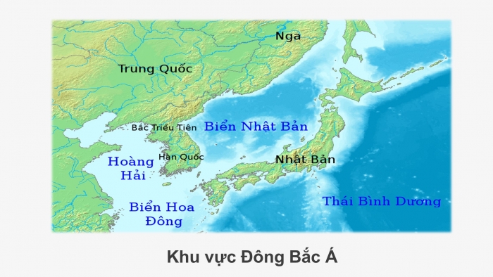 Giáo án điện tử Lịch sử 12 bài 3: Các nước Đông Bắc Á