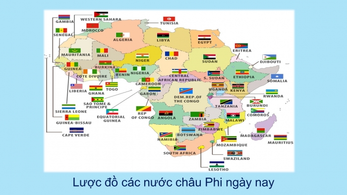 Giáo án điện tử Lịch sử 12 bài 5: Các nước châu Phi và Mĩ Latinh