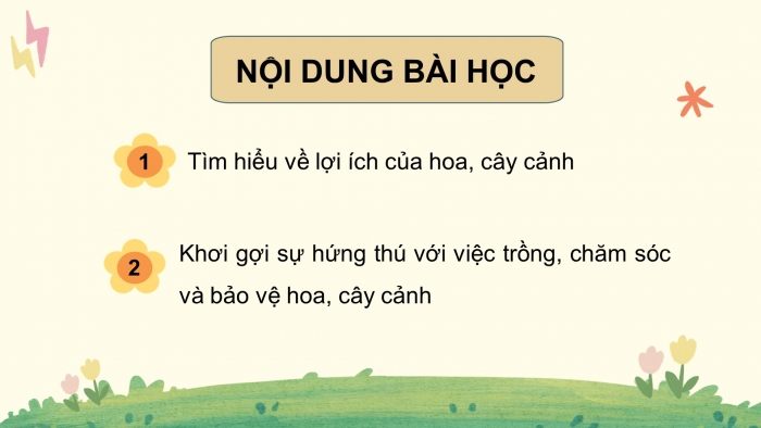 Giáo án điện tử Công nghệ 4 cánh diều Bài 1: Lợi ích của hoa và cây cảnh