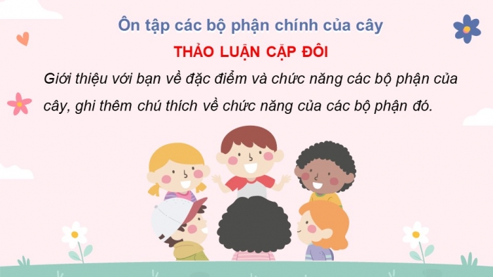 Giáo án điện tử bài 19: Ôn tập chủ đề thực vật và động vật