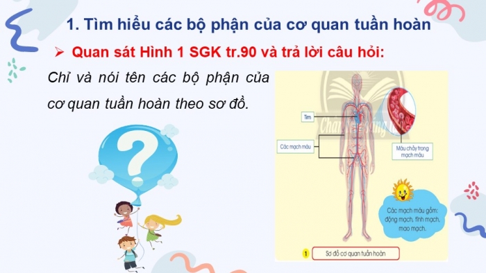 Giáo án điện tử bài 21: Cơ quan tuần hoàn