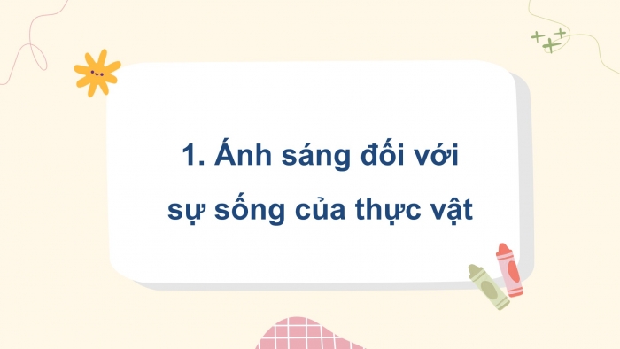 Giáo án điện tử Khoa học 4 kết nối Bài 9: Vai trò của ánh sáng