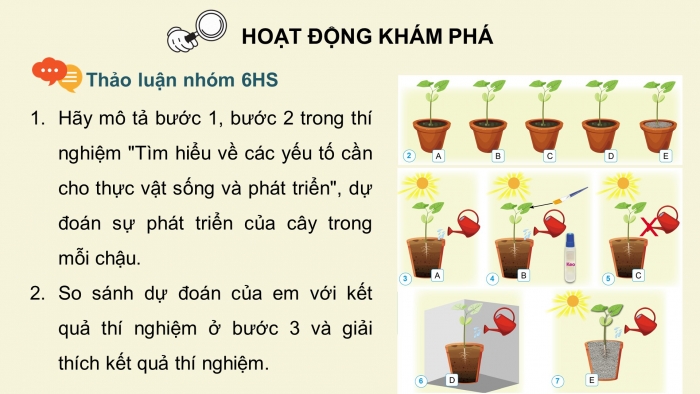 Giáo án điện tử Khoa học 4 cánh diều Bài 13: Nhu cầu sống của thực vật và chăm sóc cây trồng (P1)