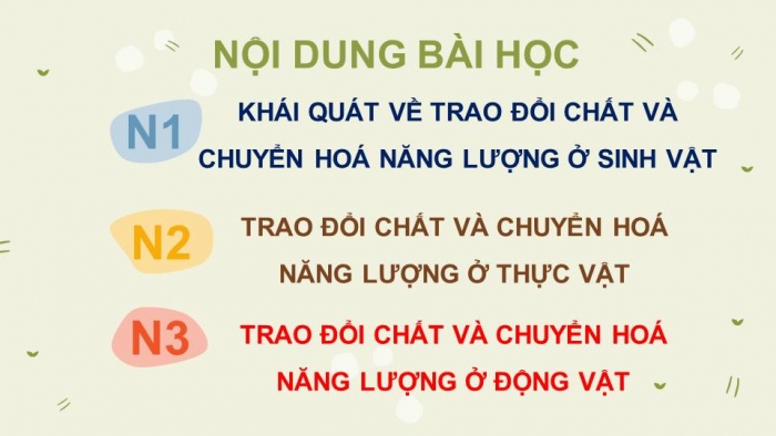 Giáo án điện tử Sinh học 11 chân trời Ôn tập chương 1