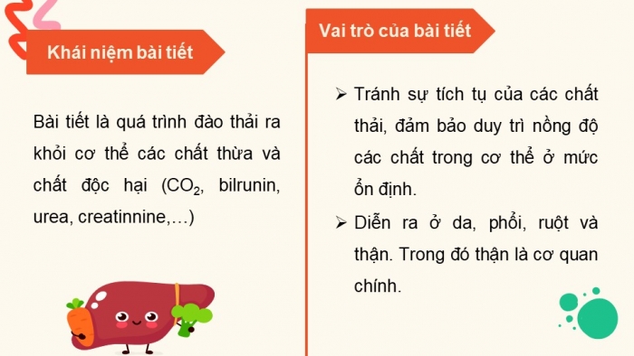 Giáo án điện tử Sinh học 11 chân trời Bài 13: Bài tiết và cân bằng nội môi