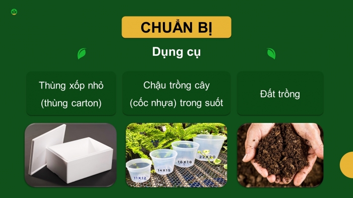 Giáo án điện tử Sinh học 11 chân trời Bài 16: Thực hành: Cảm ứng ở thực vật