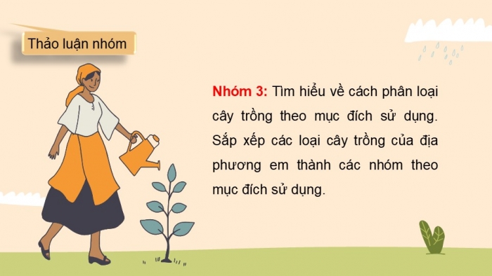 Giáo án điện tử công nghệ 10 – Trồng trọt kết nối bài 2: Cây trồng và các yếu tố chính trong trồng trọt