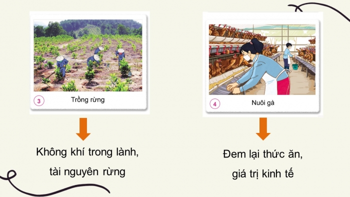 Giáo án điện tử tự nhiên và xã hội 3 cánh diều bài 9: Hoạt động sản xuất nông nghiệp