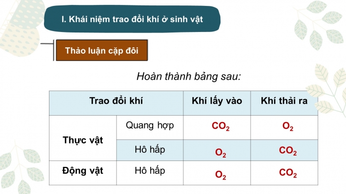 Giáo án điện tử KHTN 7 cánh diều – Phần sinh học  bài 23: Trao đổi khí ở sinh vật